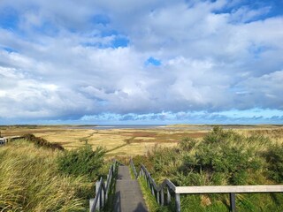 Bungalow Den Burg Ambiente 26