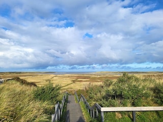 Bungalow Den Burg Environment 33