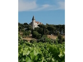 Holiday house Gruissan Environment 30