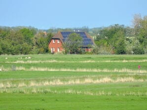 Holiday apartment Land und Meer: Meer/OG - Westerhever - image1