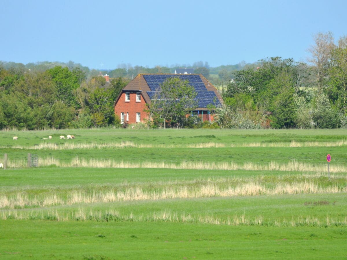 Blick vom Leuchtturm aus, gezoomt