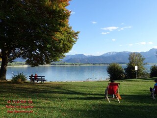 Radtour um Forggensee