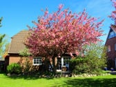 Gartenanlage Uus Hus