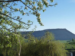Blick auf Messelberg