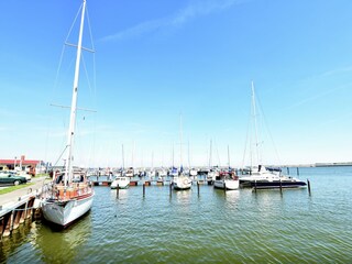 Apartment Barth Umgebung 33