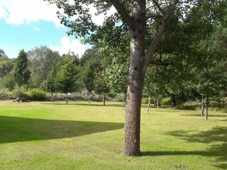 Blick über das Grundstück