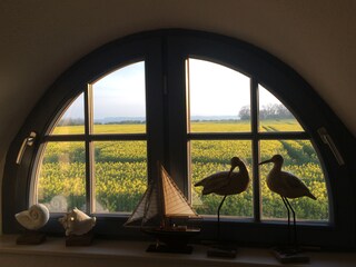 Casa per le vacanze Zierow Registrazione all'aperto 2