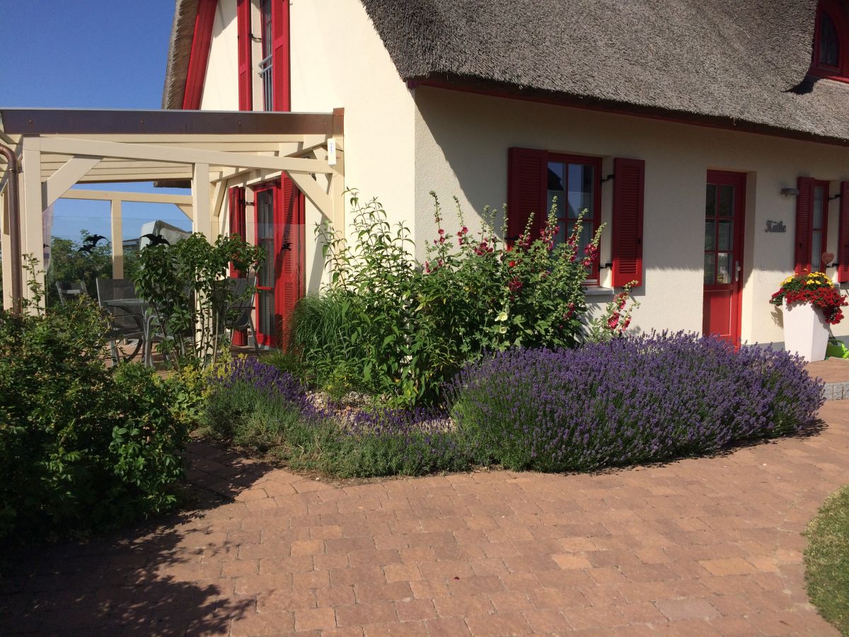 Holiday House Kathe Zierow Company V V Vermietung Karin Und