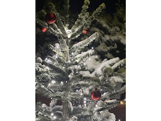 Chalet Aschau im Zillertal Ausstattung 15