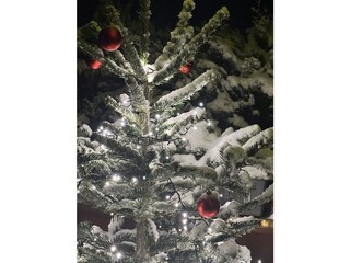 Chalet Aschau im Zillertal Features 15