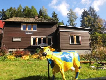 Ferienhaus Bergchalet