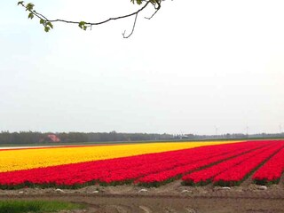 Casa per le vacanze Julianadorp Ambiente 17