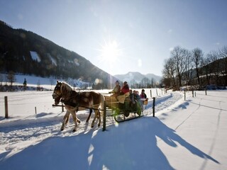 Chalet Stadl an der Mur Entorno 24