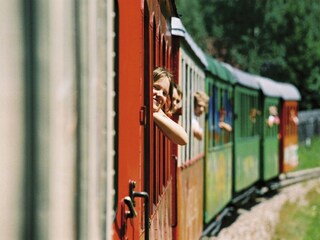 Chalet Stadl an der Mur Entorno 33