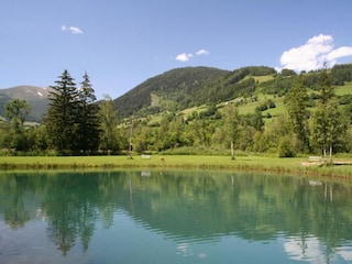 Chalet Stadl an der Mur Omgeving 37