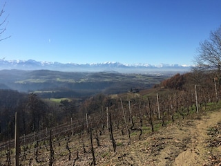 Vakantiehuisje Ciglie Omgeving 22