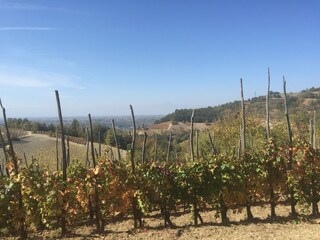 Casa de campo Ciglie Entorno 30