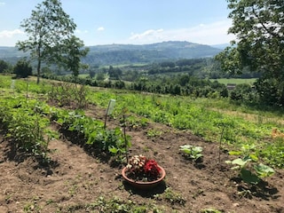 Type de propriété : Chalet Ciglie Environnement 28
