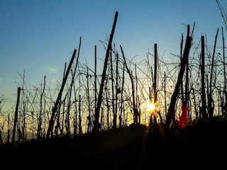 Landhaus Ciglie Umgebung 31