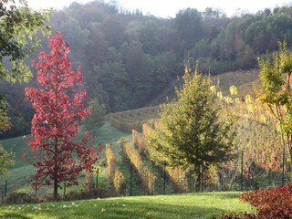 Casale Ciglie Ambiente 32