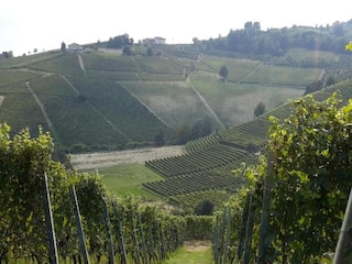 Landhaus Ciglie Umgebung 20