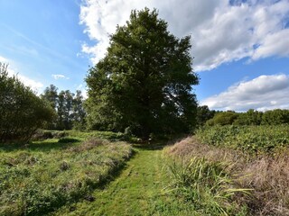 Vakantiehuis Morlac Buitenaudio-opname 4