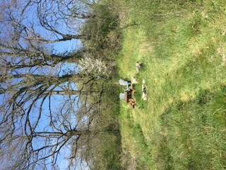 Ferienhaus Morlac Außenaufnahme 21