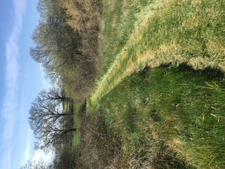 Ferienhaus Morlac Außenaufnahme 12