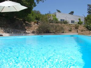 Villa panoramica ad Alcobaça Lisbona con piscina e giardino - Lagoa do Cao - image1