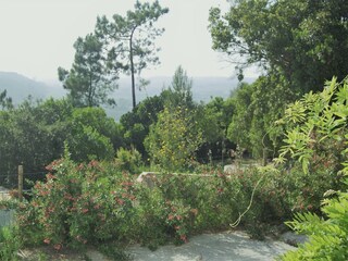 Villa Lagoa do Cao Outdoor Recording 15