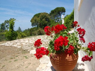 Villa Lagoa do Cao  39