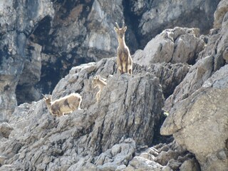 Appartamento per vacanze Fischen im Allgäu Ambiente 22