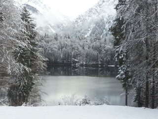 Winterwunderland am Freibergsee