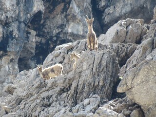 Appartamento per vacanze Oberstdorf Ambiente 15