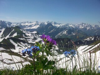 Appartement de vacances Oberstdorf Environnement 16