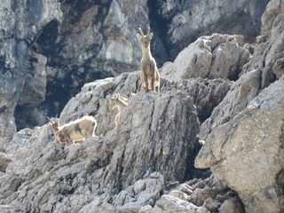 Appartamento per vacanze Oberstdorf Ambiente 15