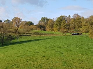 Ab in die Natur, direkt von der FeWo aus