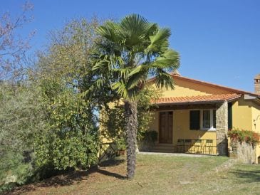Ferienhaus in Lucignano