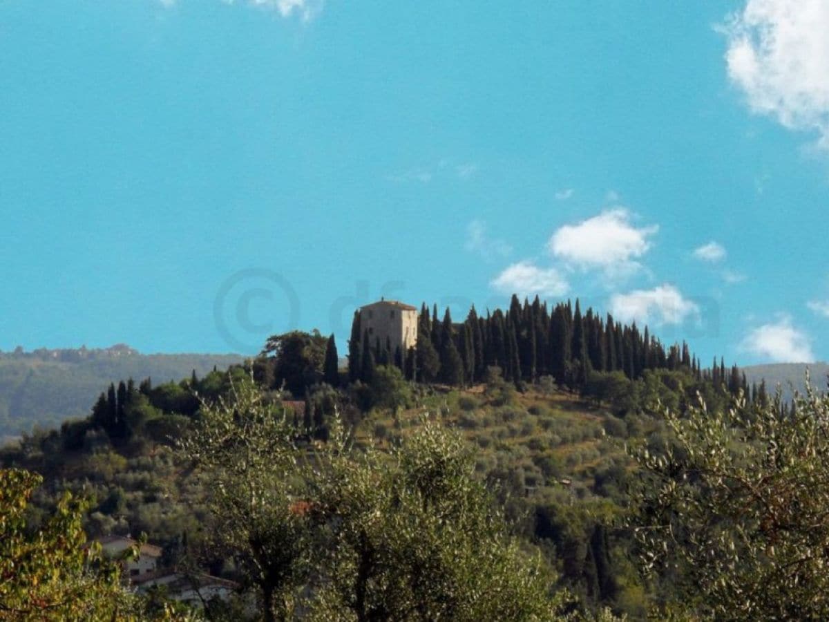 Ferienhaus Gaiole in Chianti Außenaufnahme 1