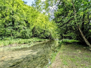 Ferienhaus Camporgiano Außenaufnahme 13
