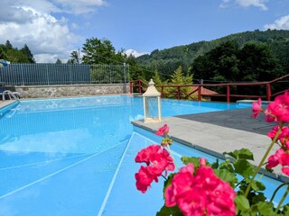 Casa per le vacanze Camporgiano Ambiente 29