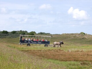 Vakantiehuis De Koog Omgeving 29
