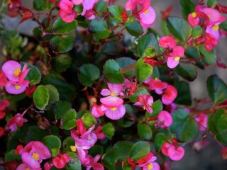 Fattoria Marche-en-Famenne  29