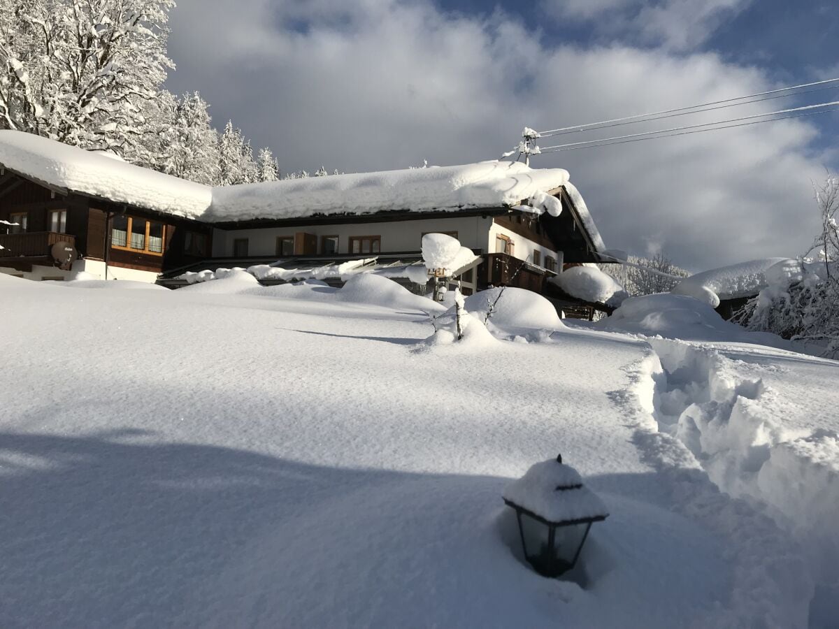 das Punzenlehen im Winter