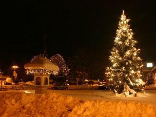 Appartamento Velden Ambiente 36