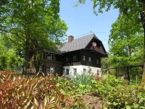 Holiday house Manor Eisenlehen - Bad Goisern - image1