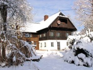 Holiday house Manor Eisenlehen - Bad Goisern - image1