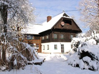Casa per le vacanze Bad Goisern Registrazione all'aperto 1