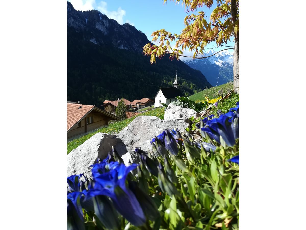 Aussicht von der Terrasse