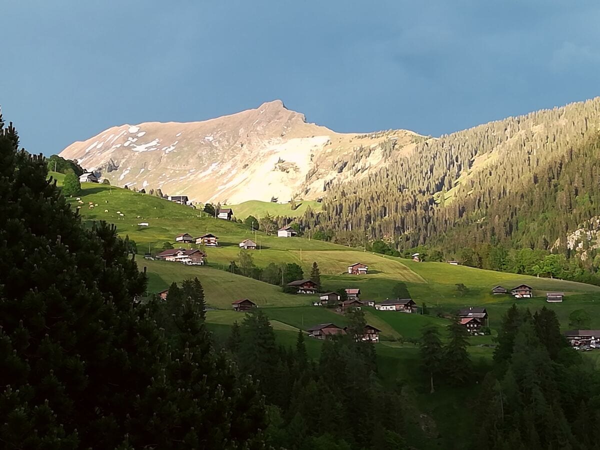 Aussicht von der Terrasse